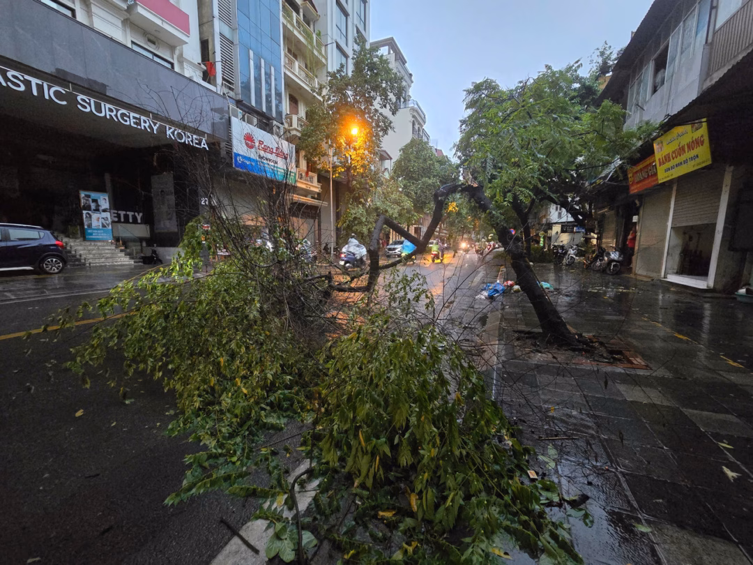 Hà Nội hứng mưa dông, nhiều cây xanh bị đổ đè lên ô tô Tại khu vực Thạch Bàn (quận Long Biên), nhiều cây xanh cũng bị gió lớn quật đổ chắn lối đi và ảnh hưởng đến sinh hoạt của người dân.