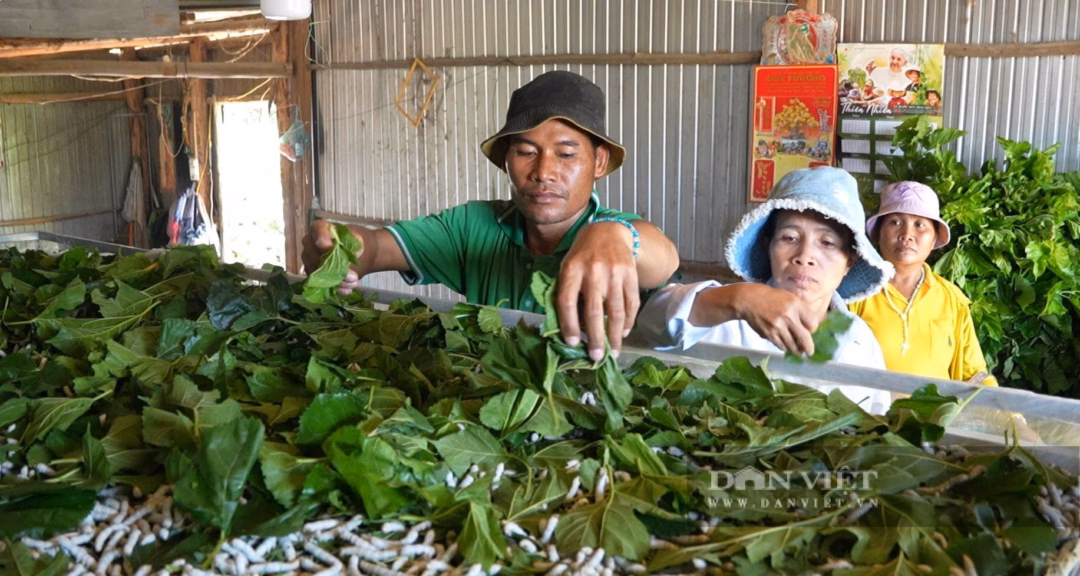 Lâm Đồng: Triển khai nhiều giải pháp giảm nghèo bền vững ở vùng nông thôn và vùng đồng bào dân tộc thiểu số Bình quân giai đoạn 2021-2025, tỷ lệ nghèo đa chiều tại Lâm Đồng giảm 1,32%/năm, đạt kế hoạch đề ra.