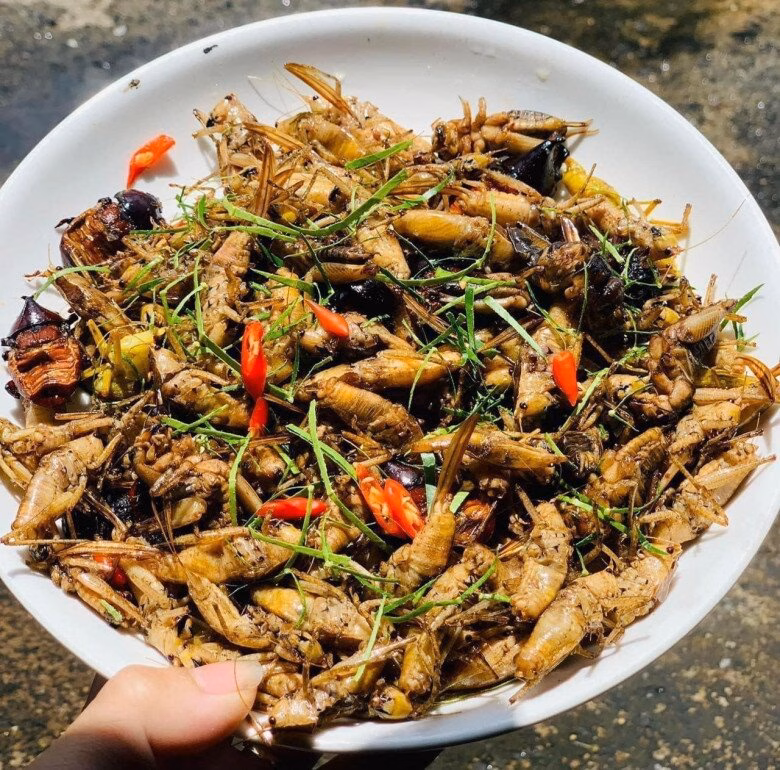 Châu chấu đồng ruộng thành đặc sản được săn lùng ở Thanh Hóa, Nghệ An Côn trùng phá hại mùa màng giờ mệnh danh là amp;#34;tôm bayamp;#34;, vị ngon hơn thịt gà chị em lùng mua bằng được - 3