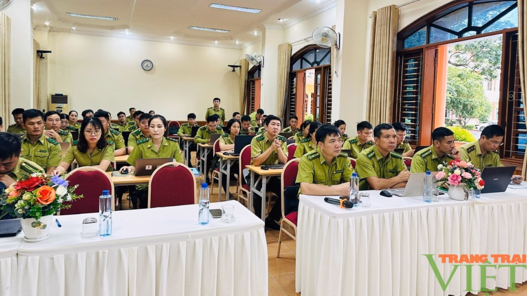 Sơn La tập huấn sử dụng phần mềm quản lý rừng trong thời đại số