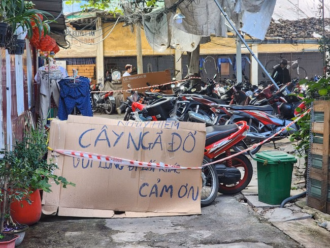 Cây xanh nằm trong bãi giữ xe.