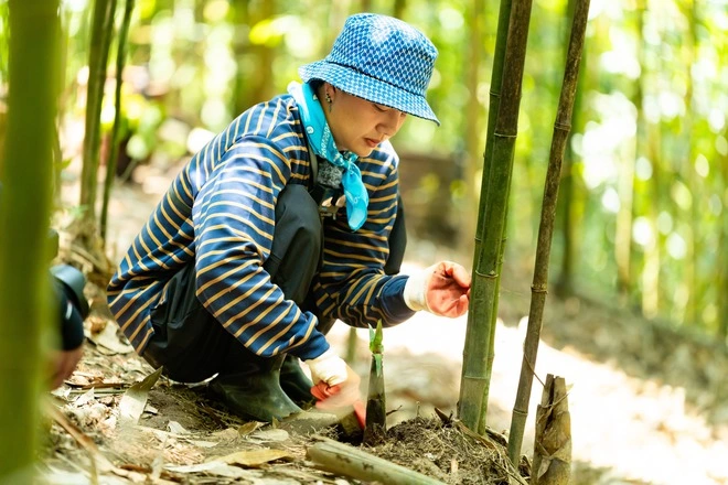 Những nghệ sĩ lần đầu trải nghiệm cuộc sống ở vùng núi