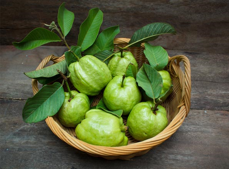Trái ổi Trái ổi giàu dinh dưỡng