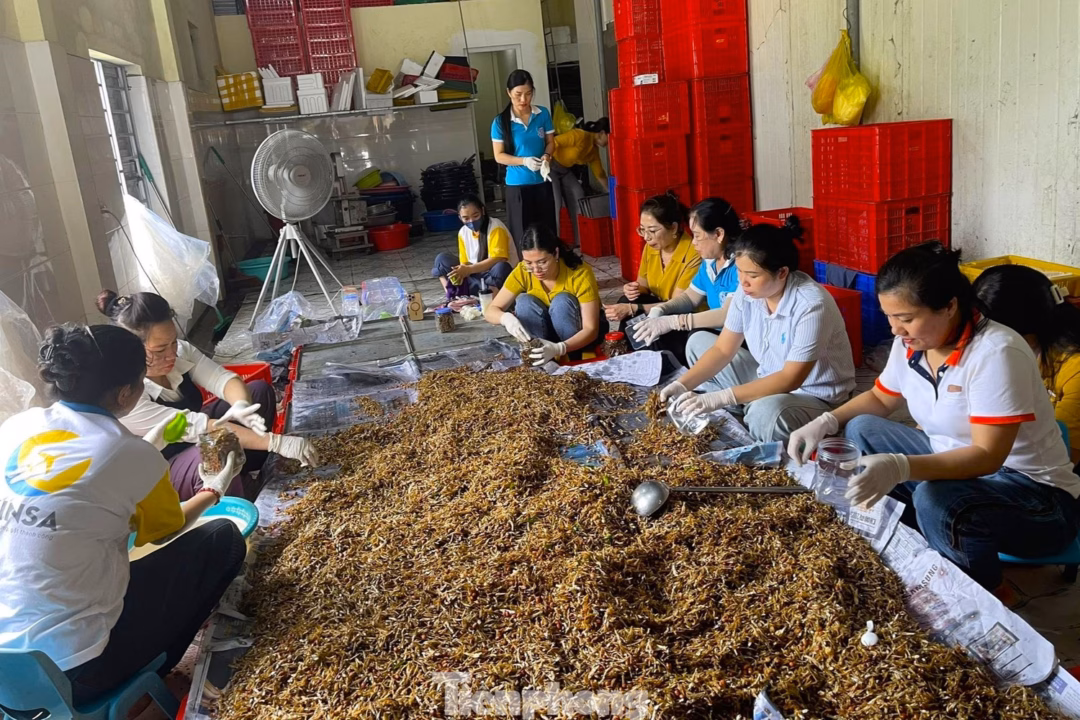 Người dân chung tay giúp đỡ người dân vùng lũ Nghệ An vượt qua khó khăn