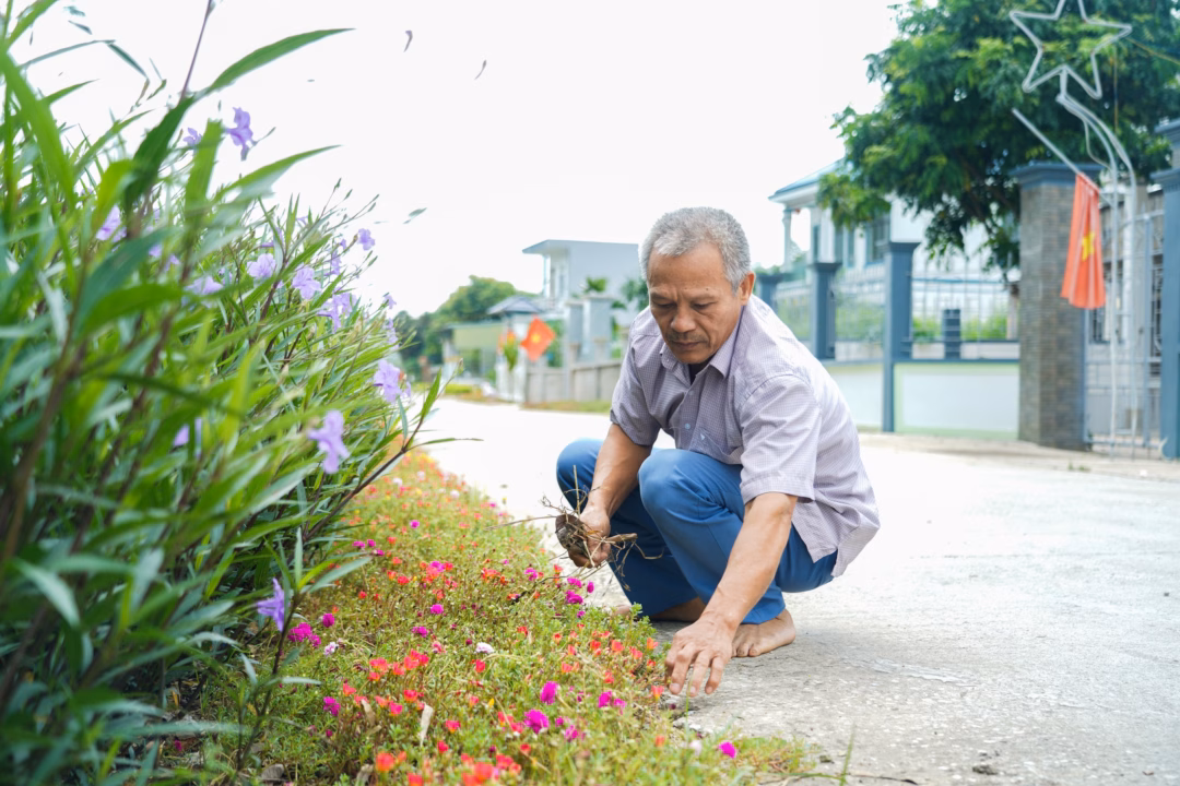 Thôn ven sông với đường đẹp, hoa xanh và hàng rào xanh Ông Bùi Văn Hùng, Tổ trưởng Mô hình "Nhà sạch - Vườn sạch - Hàng rào xanh" thôn Mỹ Quan.