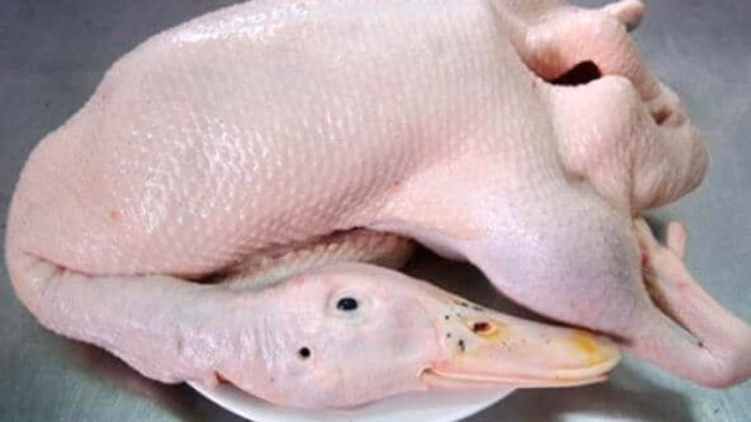 Muốn chọn thịt ngan tươi cần chú ý đến đùi và ức của ngan