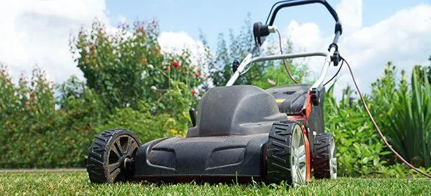 Máy cắt cỏ điện có dây Máy cắt cỏ điện có dây
