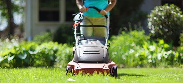 Máy cắt cỏ dùng pin Máy cắt cỏ dùng pin