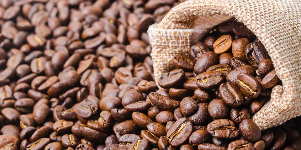 Hạt cà phê Arabica và Robusta