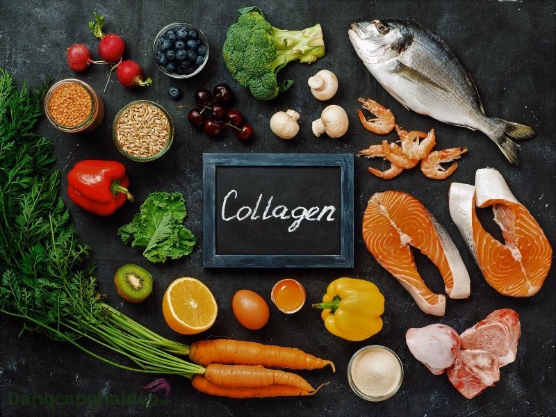 Các nguồn thực phẩm bổ sung collagen Thực phẩm bổ sung collagen