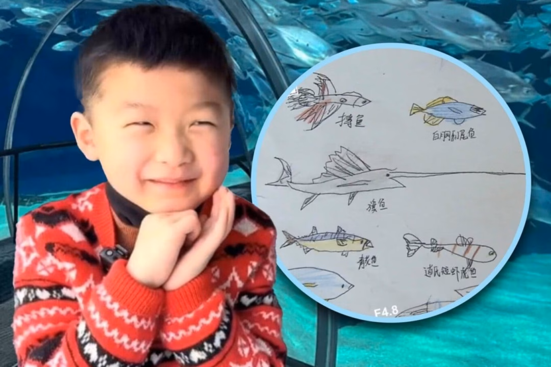 Cậu bé 6 tuổi viết thư cho thủy cung, được trả lời bằng 800 trang ‘bí mật’ về cá Tianxing rất thích đến Thủy cung Thượng Hải (Ảnh: SCMP).