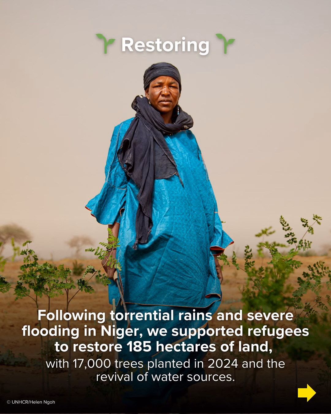 May be an image of 1 person, headscarf, head covering, plant and text that says '٣ Restoring ۳ Following torrential rains and severe flooding in Niger, we supported refugees to restore 185 hectares of land, with 17,000 trees planted in 2024 and the revival of water sources. UNHCR:HalenNggh'