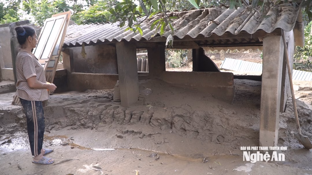 Nợ nần chồng chất, phụ nữ khuyết tật rơi vào tuyệt vọng sau lũ Đàn lợn giống 6 con bà Phương nuôi cũng đã bị lũ cuốn trôi.