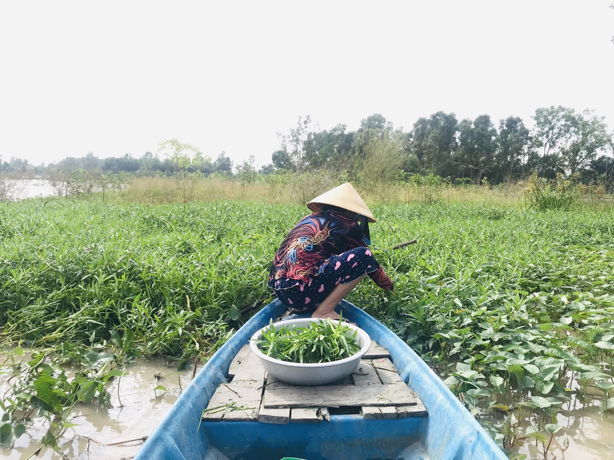 Trở lại thành phố sau tết: Có bao nhiêu món ngon cha mẹ gom hết cho con - ảnh 1