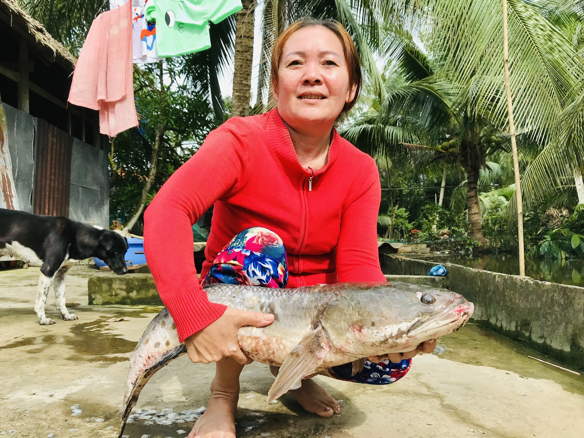 Trở lại thành phố sau tết: Có bao nhiêu món ngon cha mẹ gom hết cho con - ảnh 3