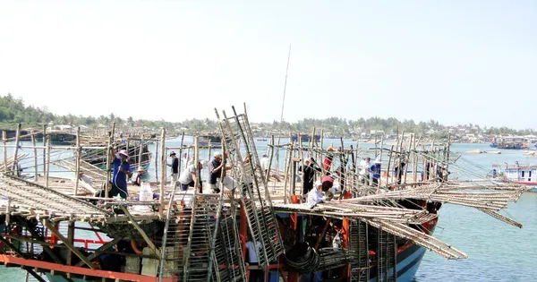 Tàu câu mực của ngư dân Quảng Ngãi Tàu câu mực của ngư dân Quảng Ngãi chuẩn bị ra khơi