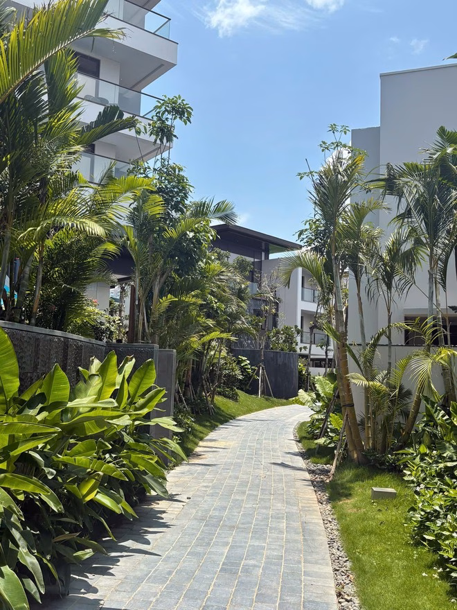 InterContinental Ha Long Bay Resort Có một Phú Quốc ngay ở miền Bắc, cách Hà Nội chỉ hơn 150km