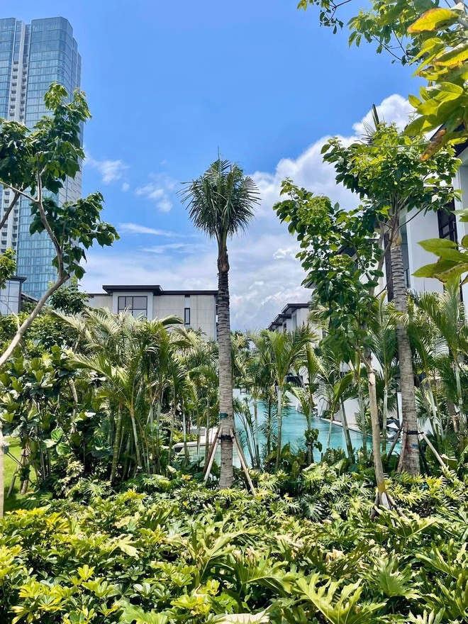 Phòng nghỉ tại InterContinental Ha Long Bay Resort Có một Phú Quốc ngay ở miền Bắc, cách Hà Nội chỉ hơn 150km