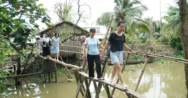 Cồn Sơn, điểm đến lý tưởng Khách du lịch tham quan Cồn Sơn, TP Cần Thơ