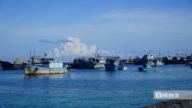Tàu cá neo đậu ở huyện đảo Phú Quý Tàu cá neo đậu ở huyện đảo Phú Quý