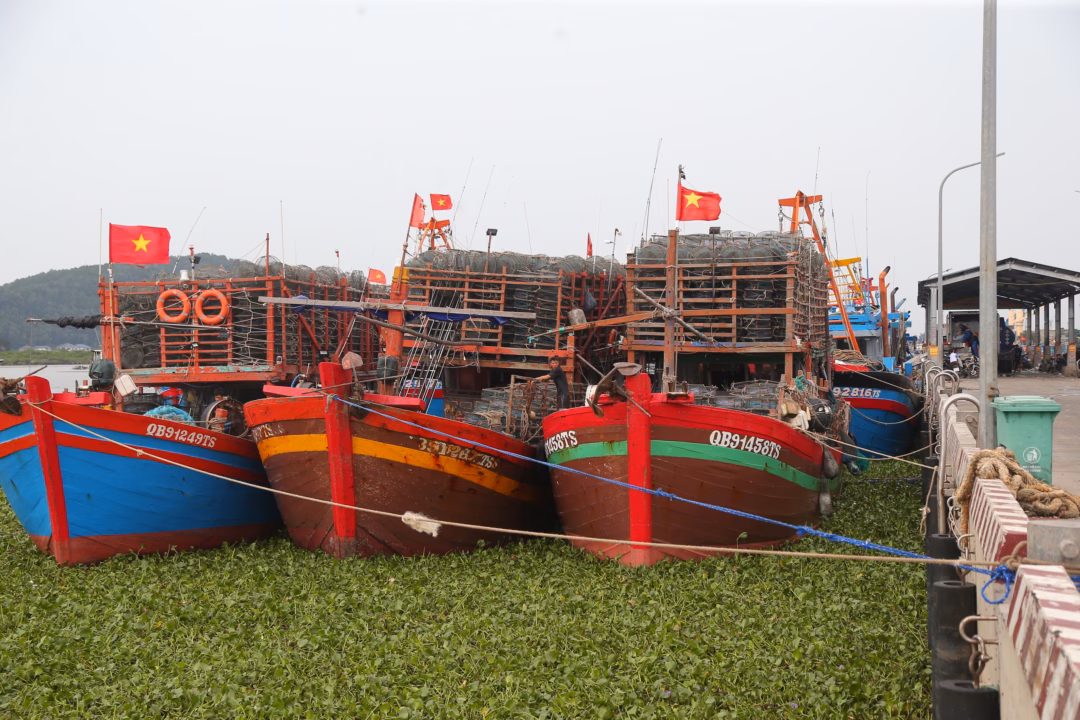 Tàu cá neo đậu tại cảng Cửa Lò Tàu cá neo đậu tại cảng Cửa Lò để tránh trú bão