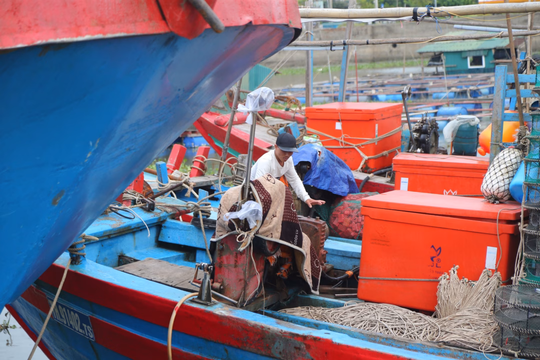 Thuyền viên kiểm tra tàu thuyền Thuyền viên kiểm tra, chằng néo tàu thuyền