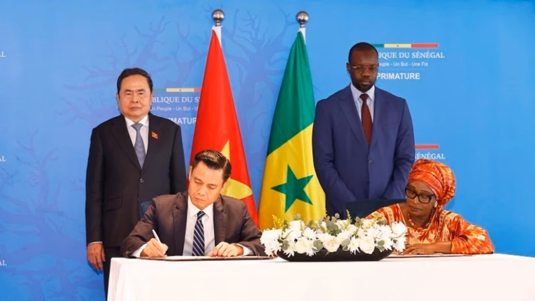 Đại học Tài chính Kế toán công bố điểm chuẩn năm 2024 và 2023 Cầu gỗ Ông Cọp: Công trình mộc mạc, mê đắm của một miền thơ