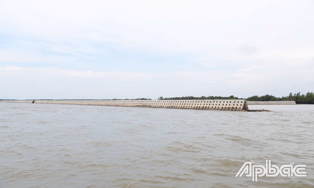 Đồng Tháp: Đầu tư hệ thống thủy lợi để thích ứng với biến đổi khí hậu Dự án Kè chống sạt lở Cồn Ngang đang phát huy hiệu quả sau đầu tư.