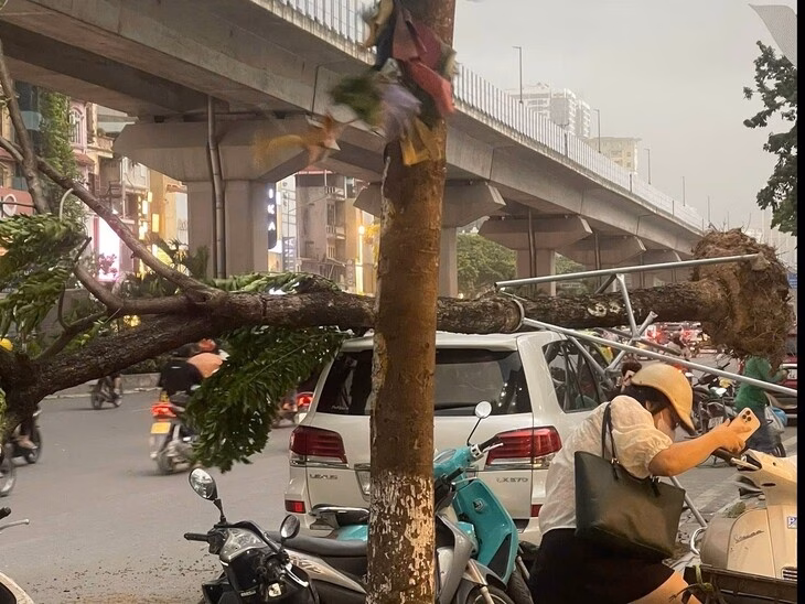 Hà Nội mưa lớn, gió giật mạnh: Cư dân đặt câu hỏi về hoàn lưu bão số 3 Cây đổ đè lên ô tô tại khu đô thị Định Công - Ảnh: A.NAM