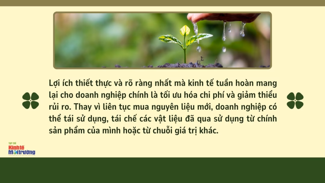 Kinh tế tuần hoàn: Chìa khóa cho tương lai xanh và thịnh vượng của Việt Nam Kinh tế tuần hoàn & kinh tế tư nhân: Đòn bẩy kép cho Việt Nam xanh, thịnh vượng - Ảnh 5