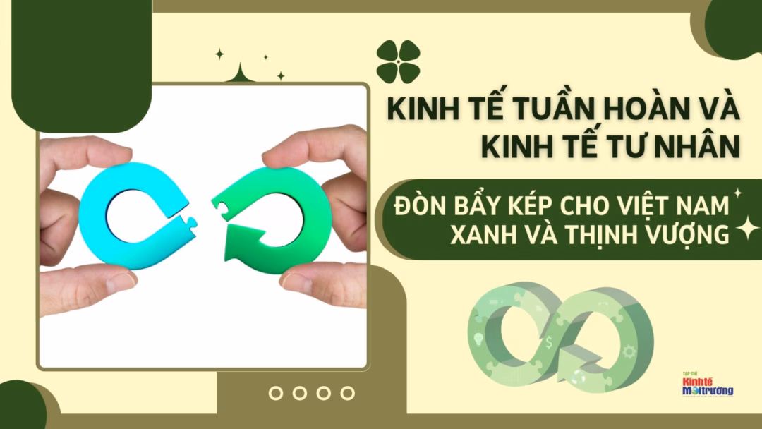 Kinh tế tuần hoàn: Chìa khóa cho tương lai xanh và thịnh vượng của Việt Nam Kinh tế tuần hoàn & kinh tế tư nhân: Đòn bẩy kép cho Việt Nam xanh, thịnh vượng - Ảnh 3