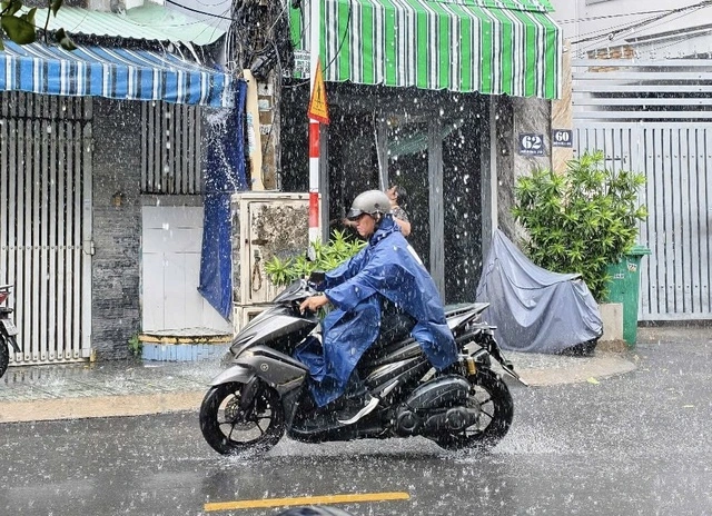Miền Nam mưa lớn, cây xanh gãy đổ sau bão số 3 Ảnh hưởng bão số 3, TP.HCM và Nam bộ xuất hiện mưa giông diện rộng