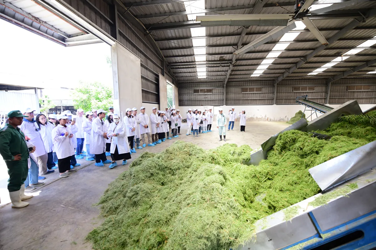 Trang trại bò sữa Vinamilk Green Farm: Mở khóa tự nhiên cho tương lai bền vững Ảnh: Quang Định