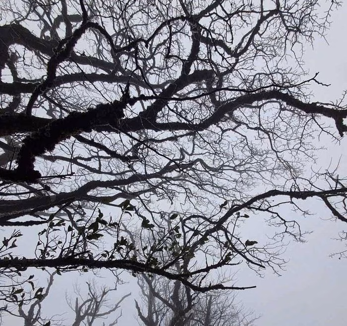 Đỉnh Phia Oắc phủ băng gi&aacute; lần đầu năm 2026