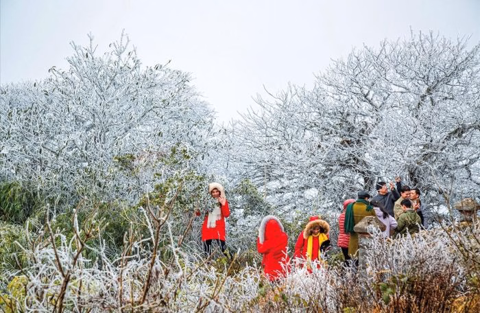 Du kh&aacute;ch săn băng tr&ecirc;n đỉnh Phia Oắc