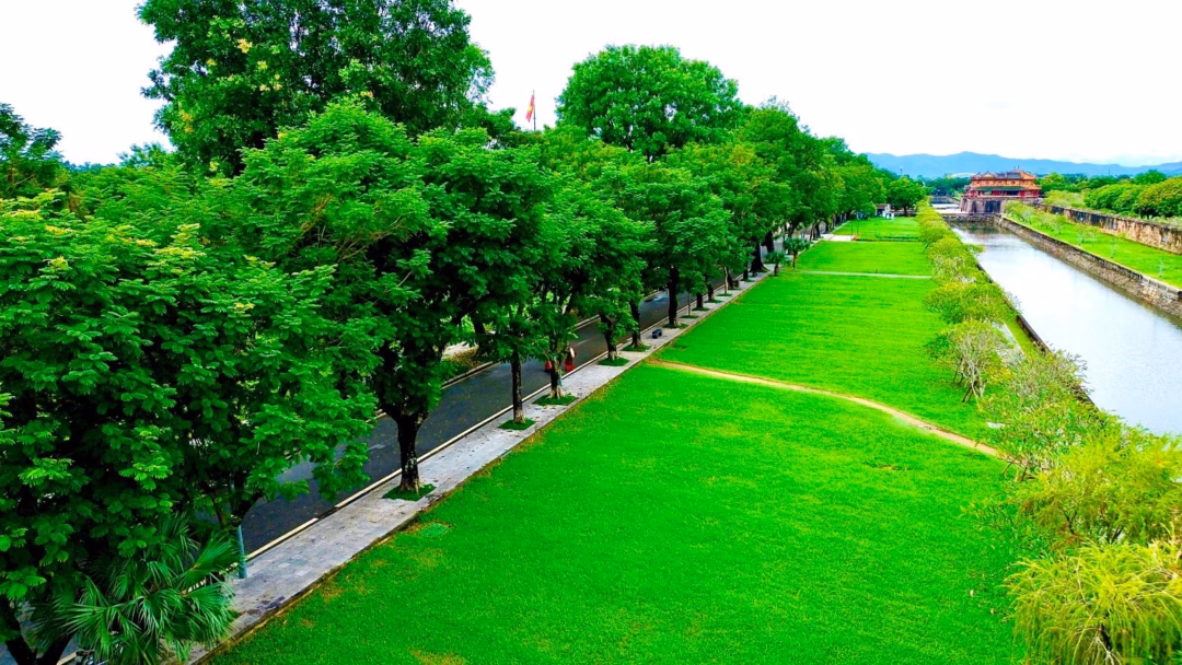 Hệ thống c&acirc;y xanh thuộc khu Di sản Huế