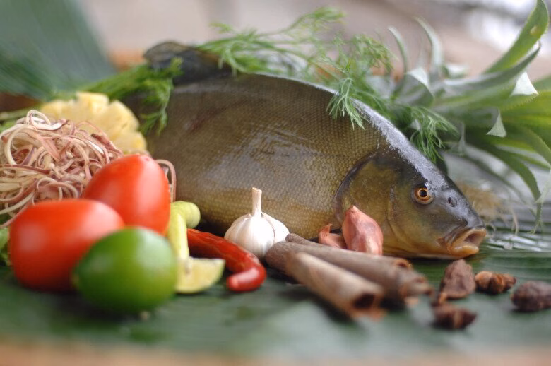 Loài cá mang tên một loại gia vị rất thơm, xưa không ai biết đến nay được amp;#34;săn lùngamp;#34; giá 180.000/kg, tốt cho sức khoẻ - 2