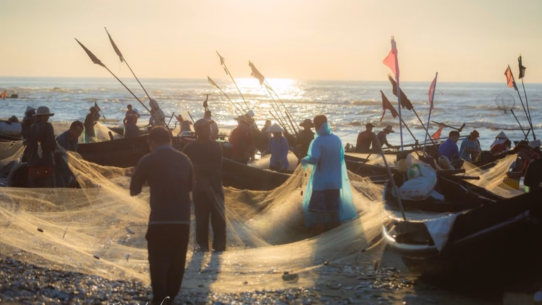Thăm làng chài thép anh dũng Vịnh Mốc yên bình buổi bình minh, mua cá tươi chỉ 10.000 đồng