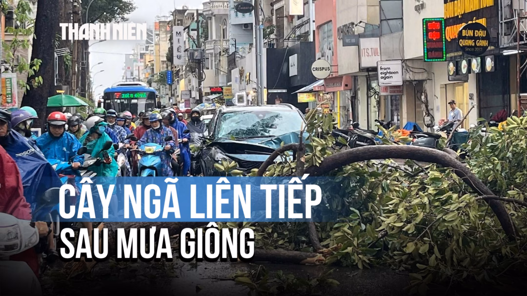 Cây ngã liên tiếp trên đường phố TP.HCM sau cơn mưa giông