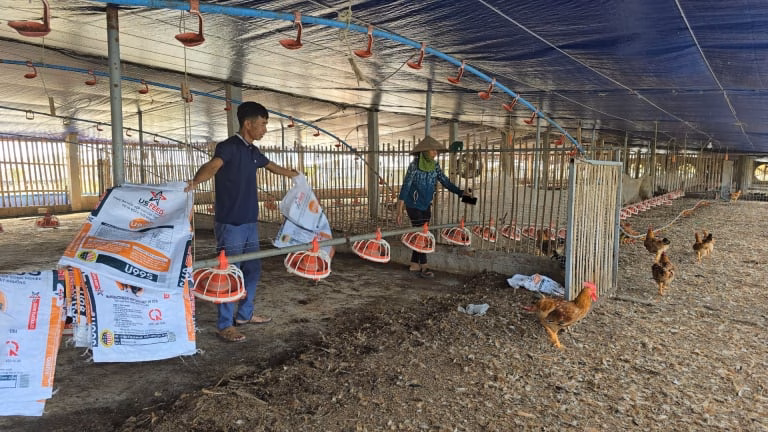 Nông dân Hải Phòng như ngồi trên đống lửa, sợ 'trôi tiền tỷ' lại trắng tay vì bão số 3