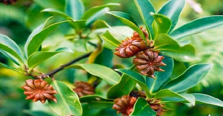 Hàng Việt đầy triển vọng trên Amazon, doanh nghiệp đua học cách đưa sản phẩm ra thế giới