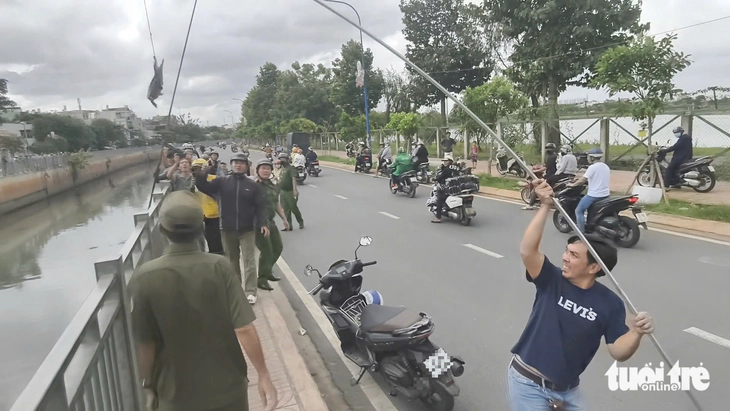 Một người dùng cây dài gắn với sợi dây đưa con cá sấu dưới kênh Nước Đen lên bờ - Ảnh: NGỌC KHẢI