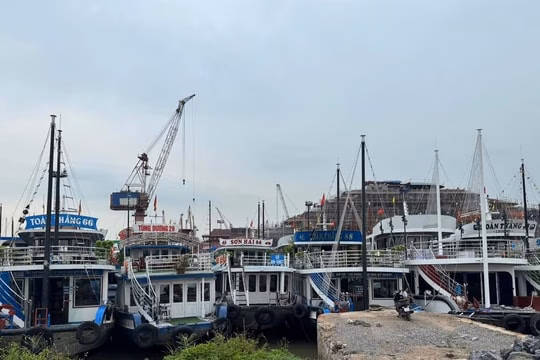 Tàu thuyền Quảng Ninh khẩn trương vào nơi tránh trú trước bão số 3