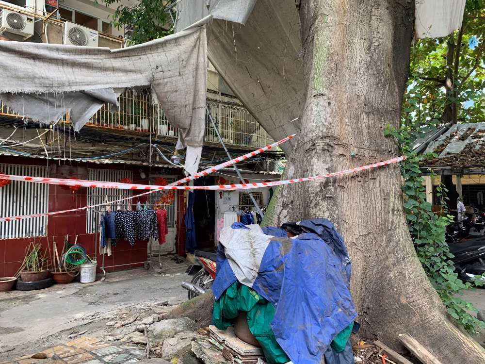 Cây gòn nghiêng gốc đe dọa hàng chục hộ dân ở TPHCM Cảnh cây gòn bị nghiêng gốc ở cư xá Thanh Đa. Ảnh: Thái Bảo