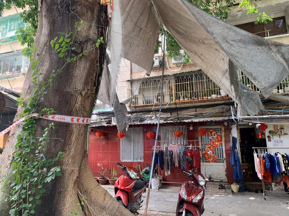 Cây gòn nghiêng gốc đe dọa hàng chục hộ dân ở TPHCM