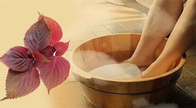 Ngâm chân nước lá tía tô giúp thư giãn, giảm căng thẳng.