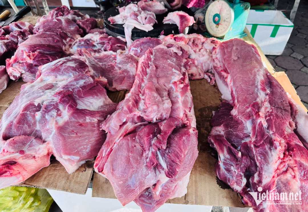 Gi&aacute; lợn hơi tăng mạnh cận Tết B&iacute;nh Ngọ 2026