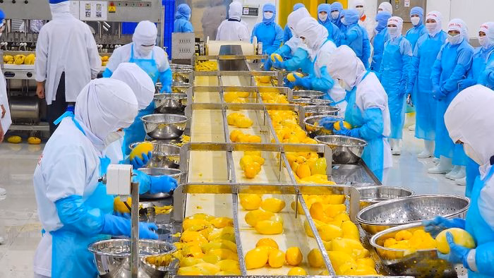 Hội thi B&agrave;n tay v&agrave;ng của c&ocirc;ng ty Antesco th&uacute;c đẩy thi đua lao động giỏi