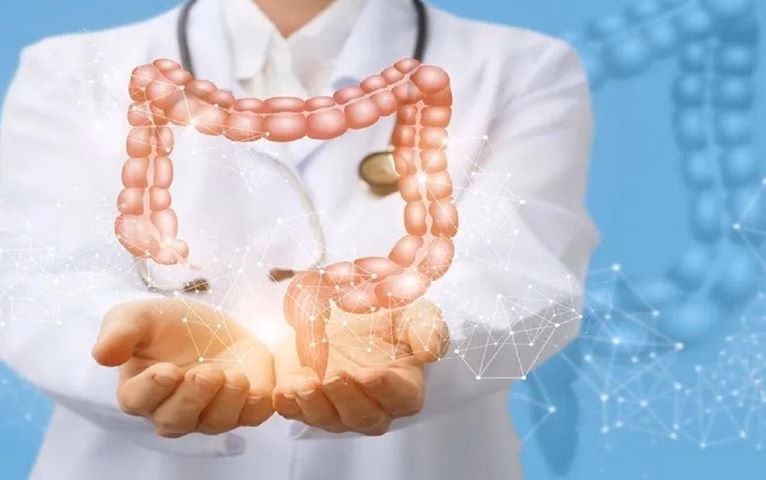 7 Loại trái cây tốt cho người bị gan nhiễm mỡ 4 loại trái cây giảm nguy cơ ung thư ruột kết