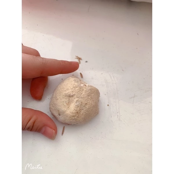 Khi dùng men thuốc bắc 36 vị Lai Thành, bạn đã biết cách tối ưu hóa hiệu quả chưa?